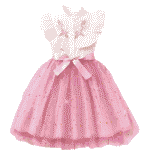 Vestido sin mangas de línea A con cuello bordado de malla