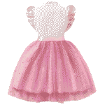 Vestido sin mangas de línea A con cuello bordado de malla - Imagen 2